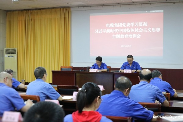 通号电缆集团党委召开学习贯彻习近平新时代中国特色社会主义思想主题教育培训会 